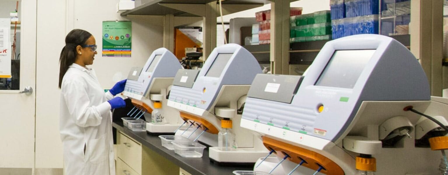 Woman working in healthcare field on computers